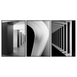 Conjunto 3 Quadros Decorativos Monopátia
