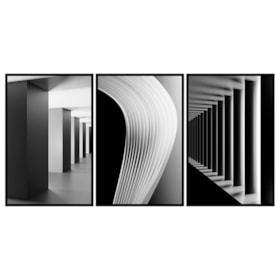 Conjunto 3 Quadros Decorativos Monopátia