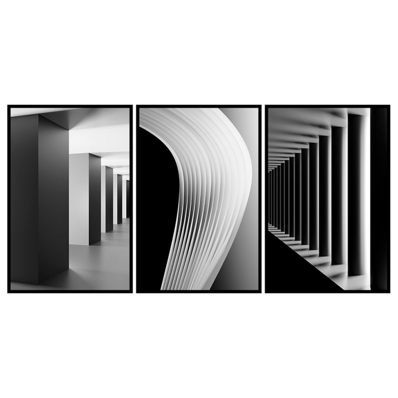 Conjunto 3 Quadros Decorativos Monopátia