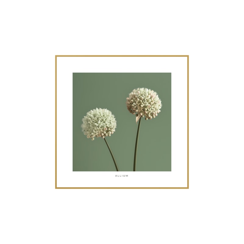 Quadro Decorativo Allium 40x40cm