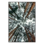 Quadro Decorativo Bòsc