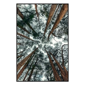 Quadro Decorativo Bòsc