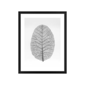 Quadro Decorativo Dry Leaf 32x42cm