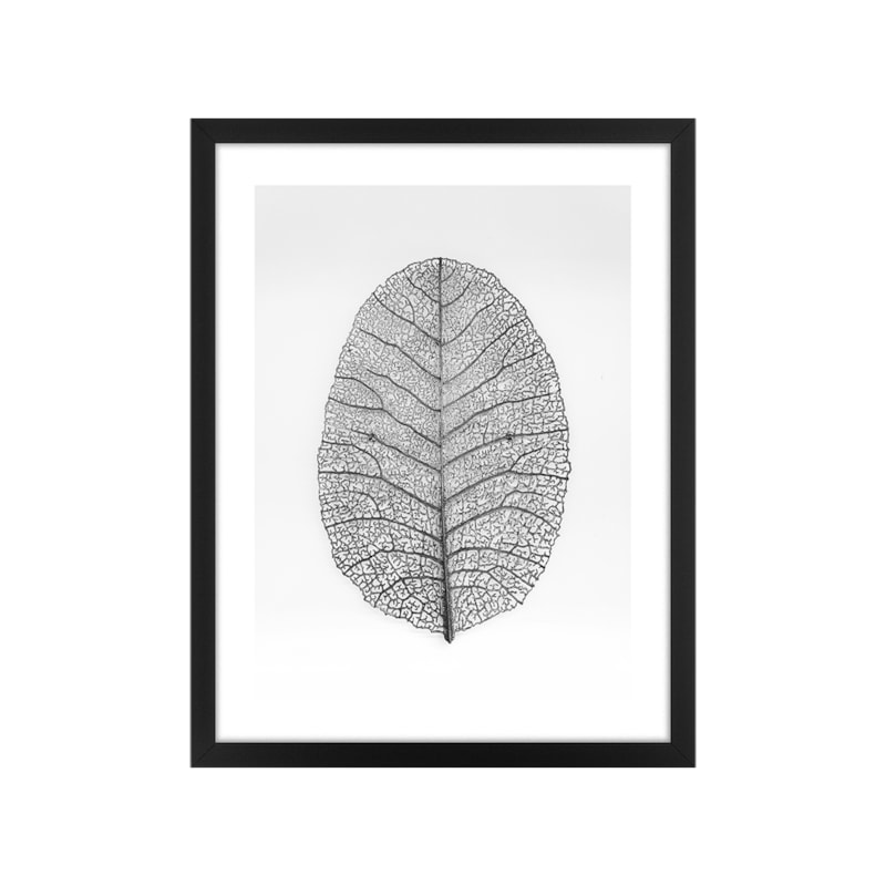 Quadro Decorativo Dry Leaf 32x42cm