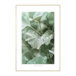 Quadro Decorativo Ginkgo 40x60cm