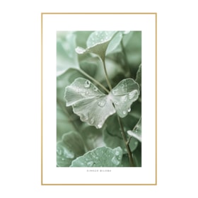 Quadro Decorativo Ginkgo 40x60cm
