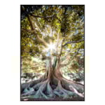 Quadro Decorativo Moreton Bay