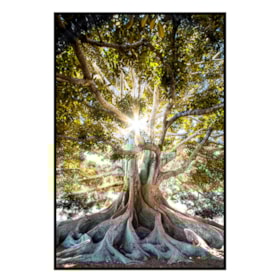 Quadro Decorativo Moreton Bay