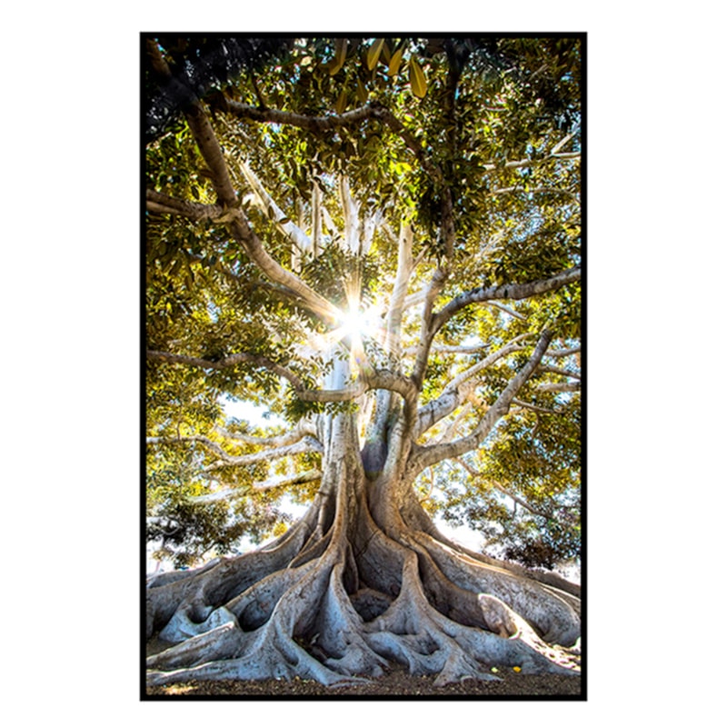 Quadro Decorativo Moreton Bay