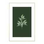 Quadro Decorativo Myrtle 40x60cm