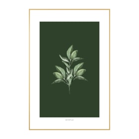 Quadro Decorativo Myrtle 40x60cm