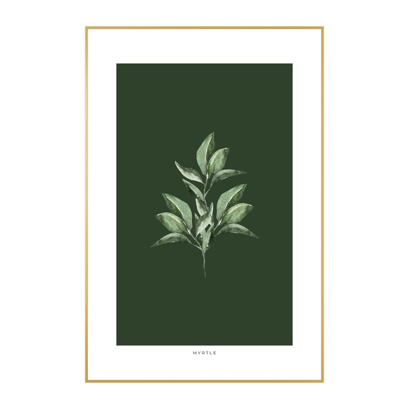 Quadro Decorativo Myrtle 40x60cm