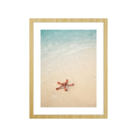 Quadro Decorativo Starfish 32x42cm